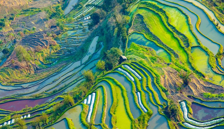 宝妈必备神器：玉州区产品视频拍摄轻松育儿好帮手